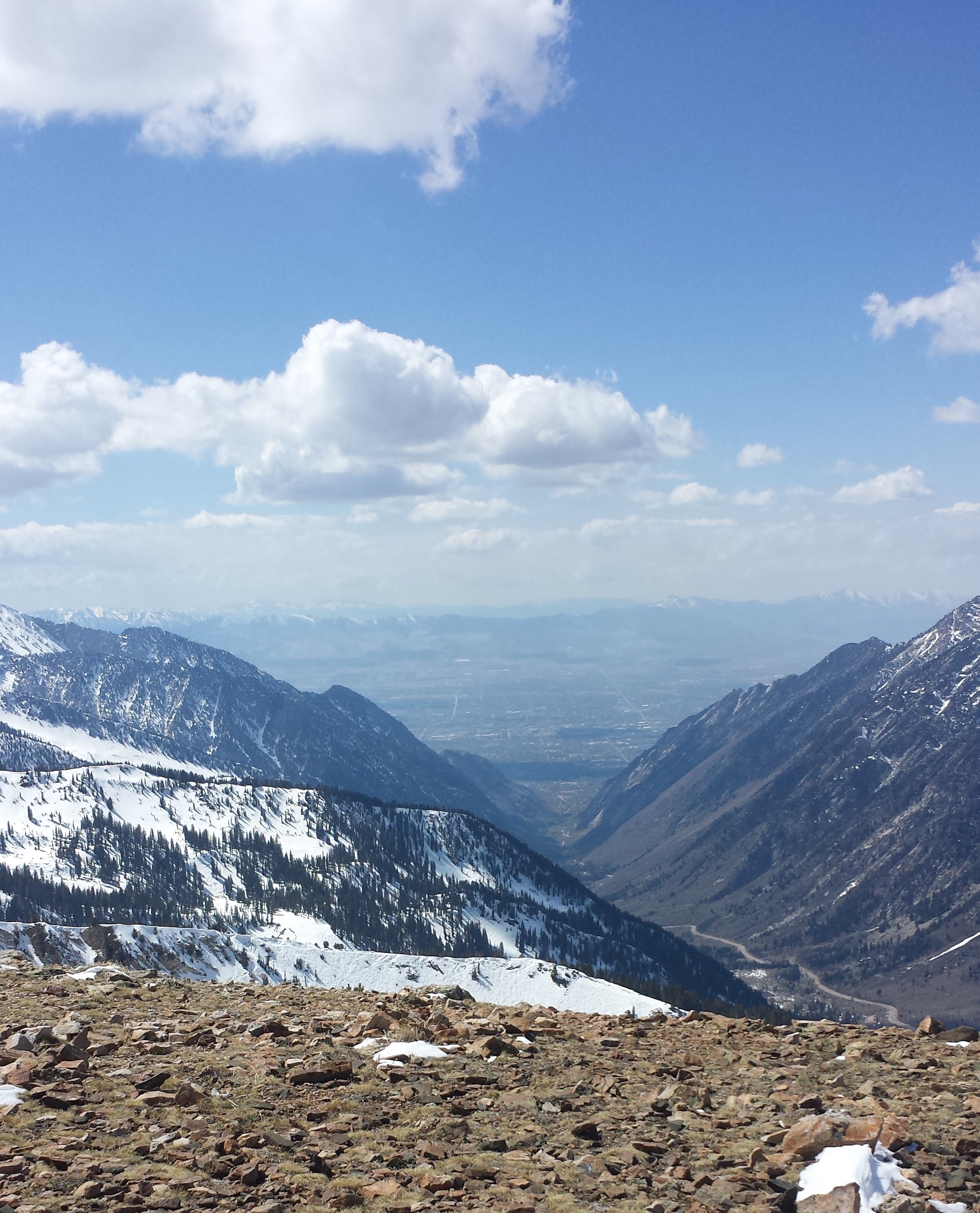 Ski Baldy's Main Chute at Alta Ski Area
