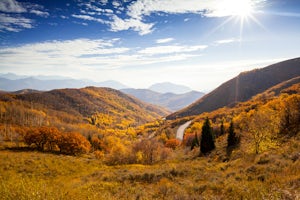 The Top 5 Spots For Fall Leaves Near Salt Lake City
