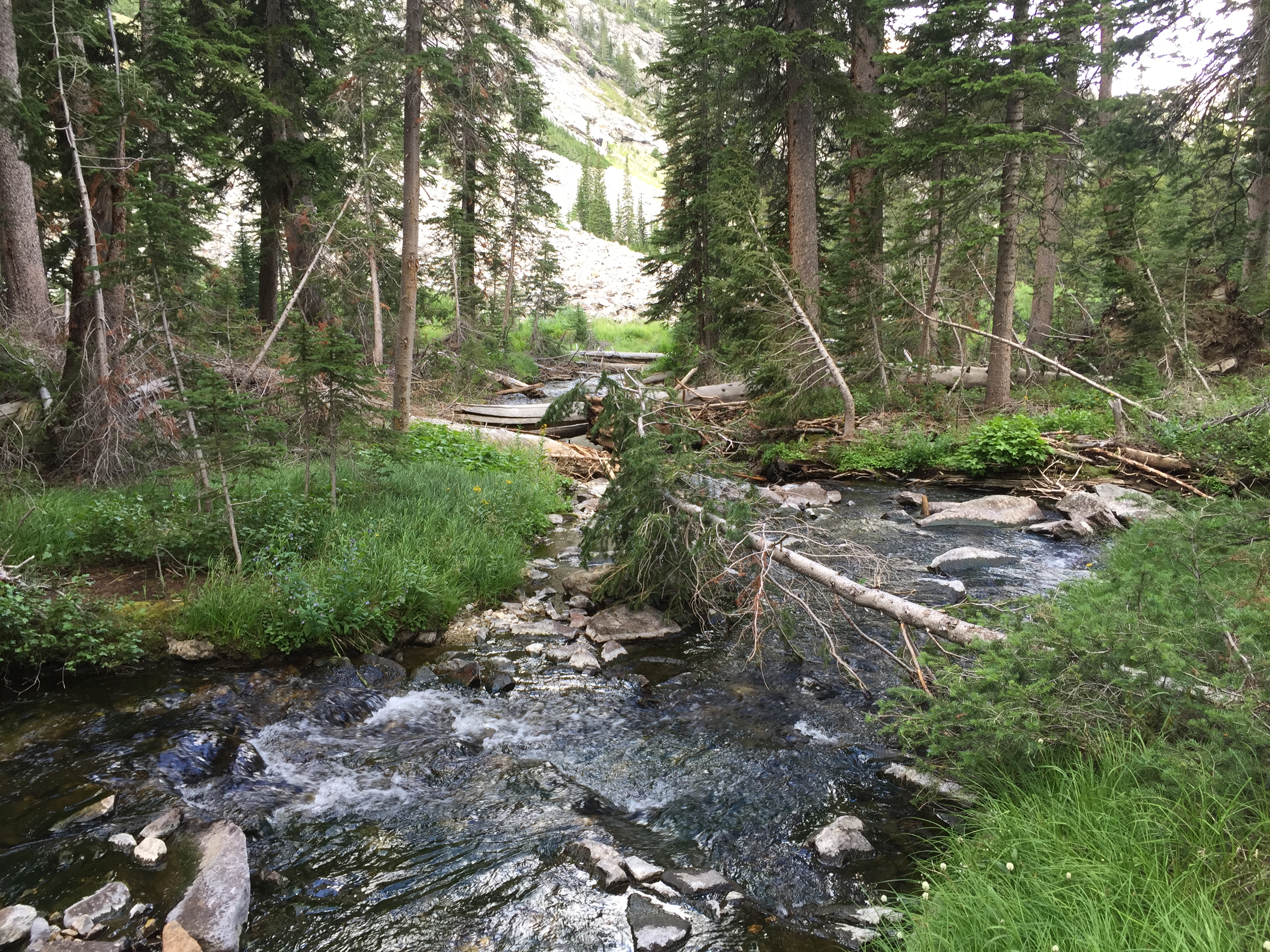 Hike to Kane Lake