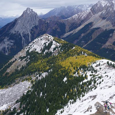 Hike Pocaterra Ridge