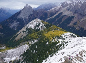 Hike Pocaterra Ridge
