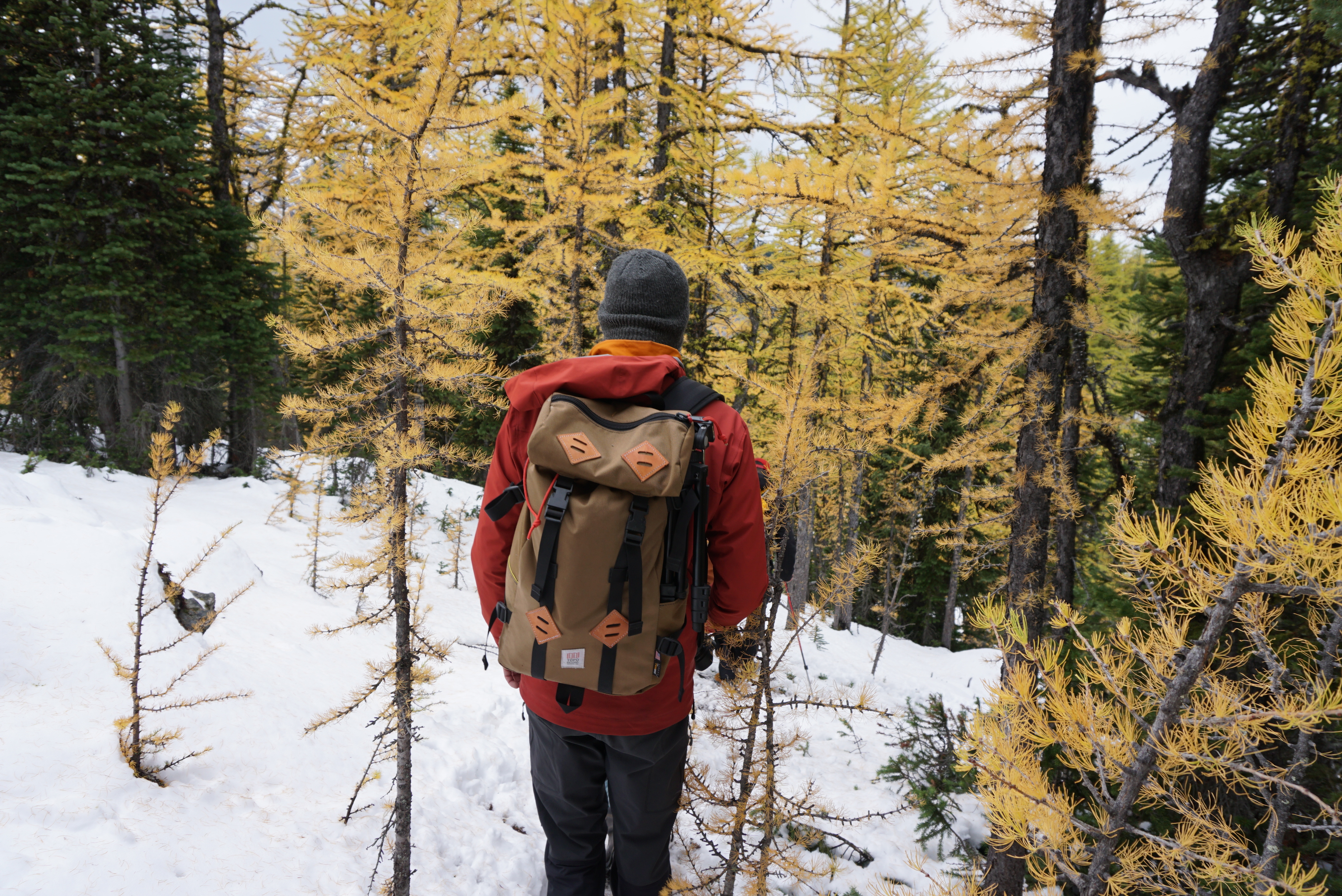 Hike Pocaterra Ridge