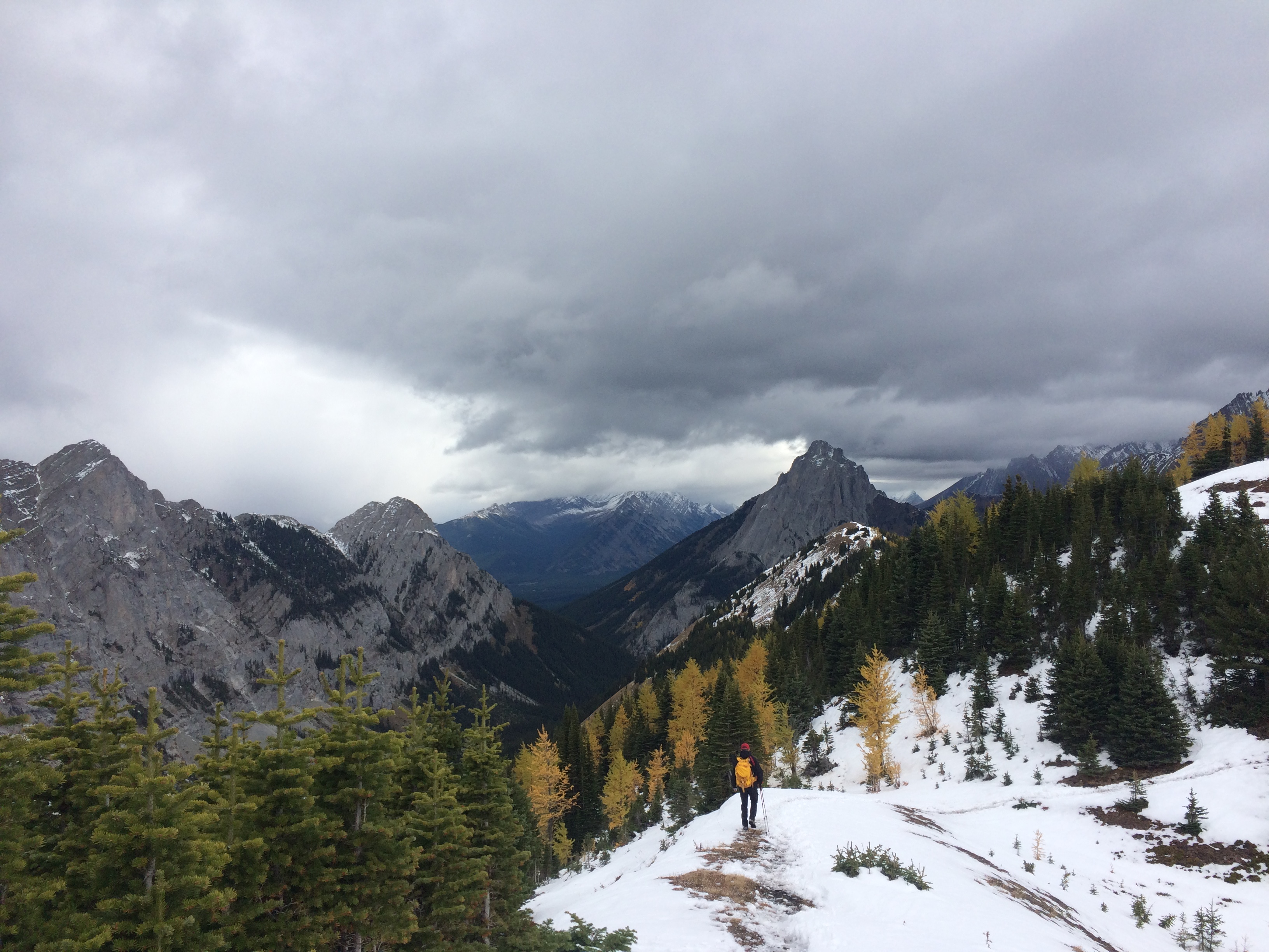 Hike Pocaterra Ridge