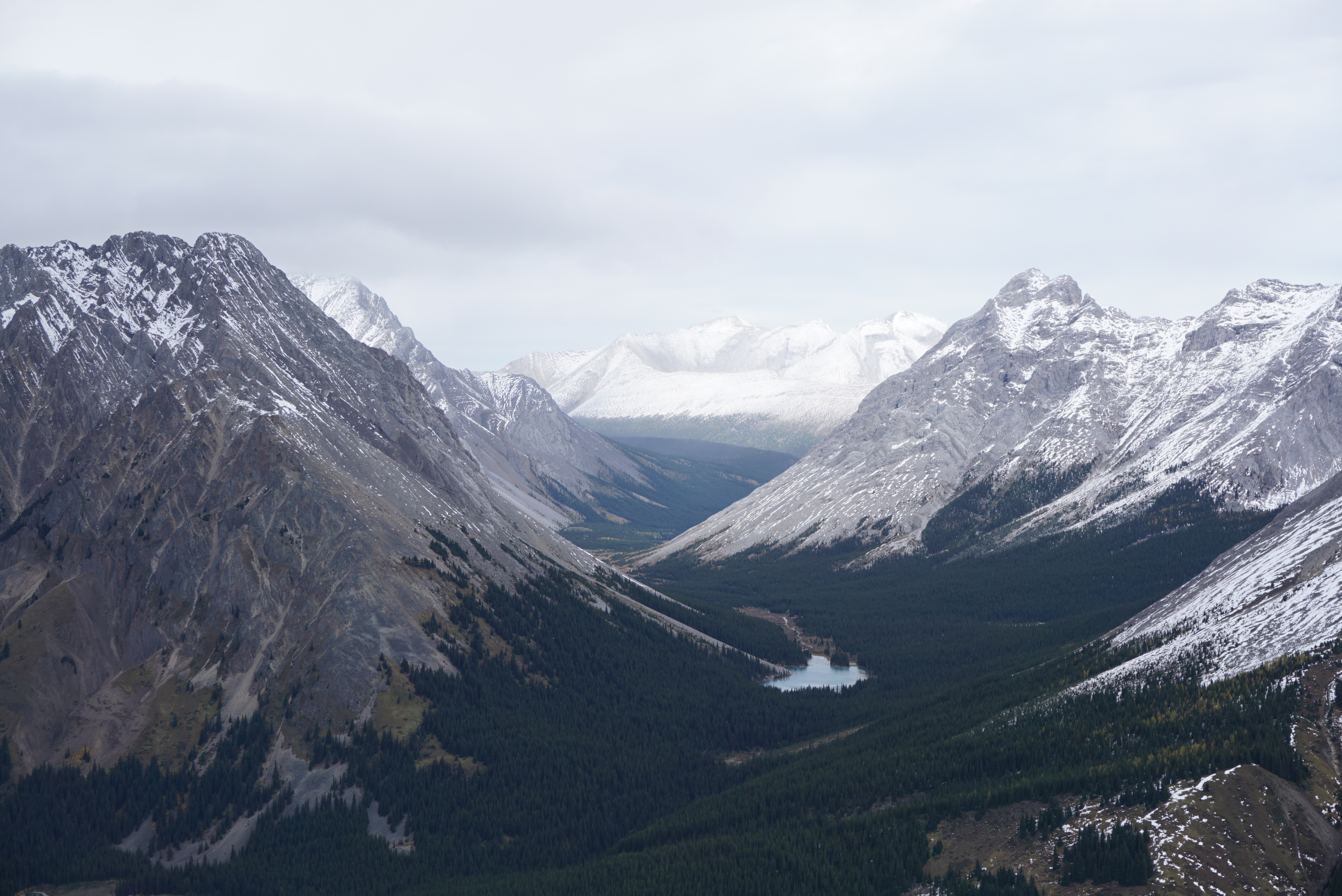 Hike Pocaterra Ridge
