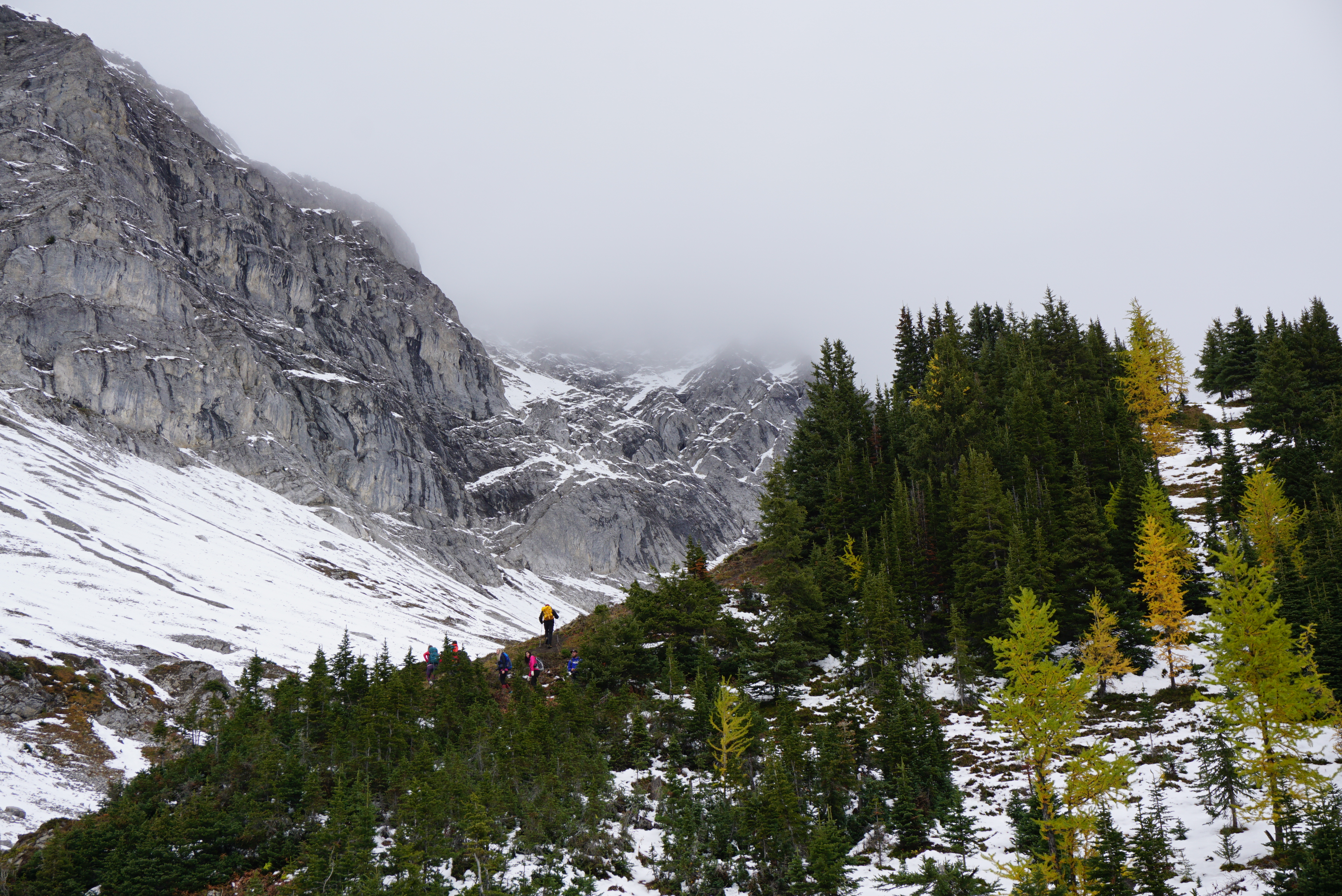Hike Pocaterra Ridge