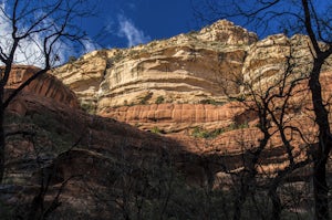 West Fork Trail