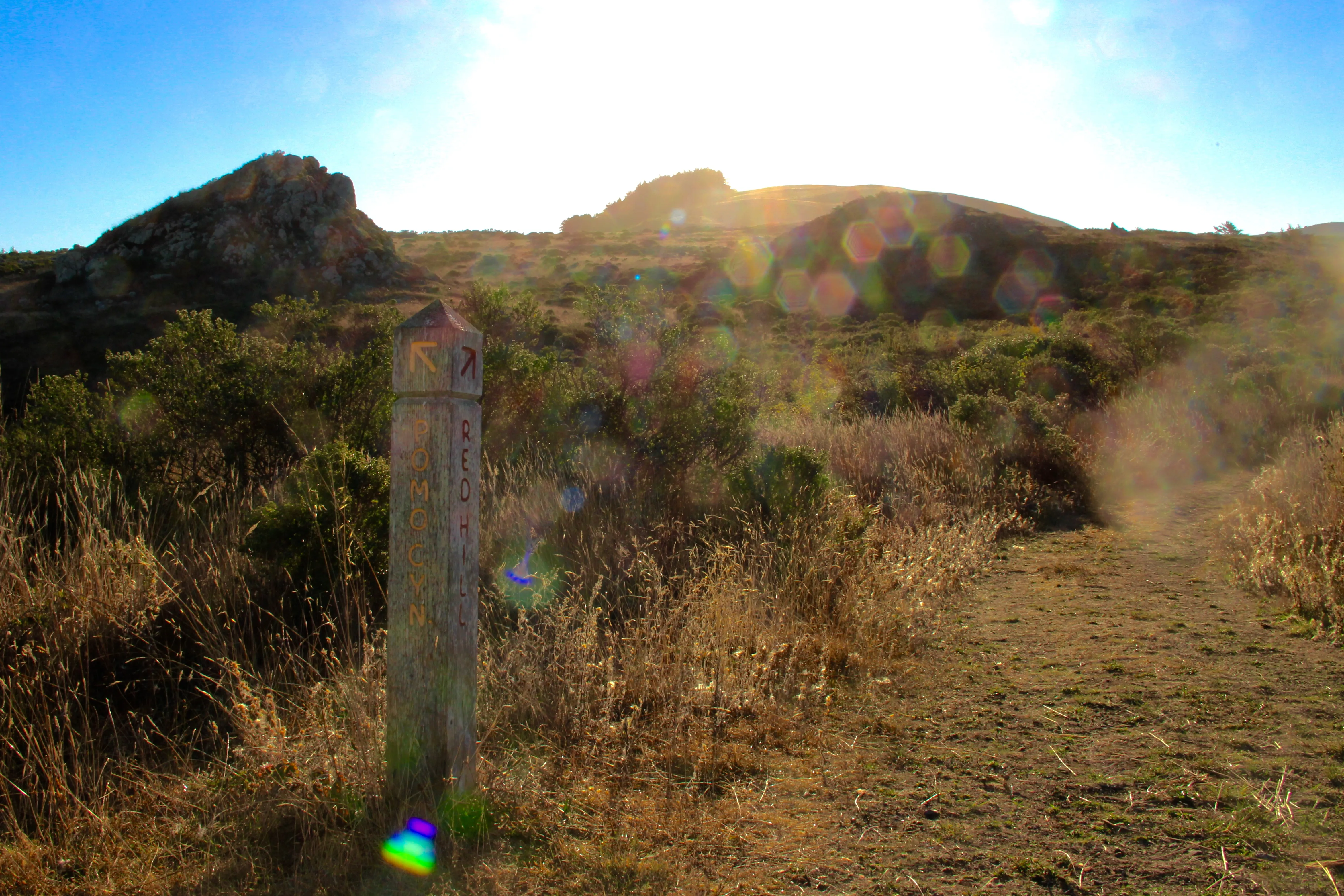Red Hill and Pomo Canyon Loop