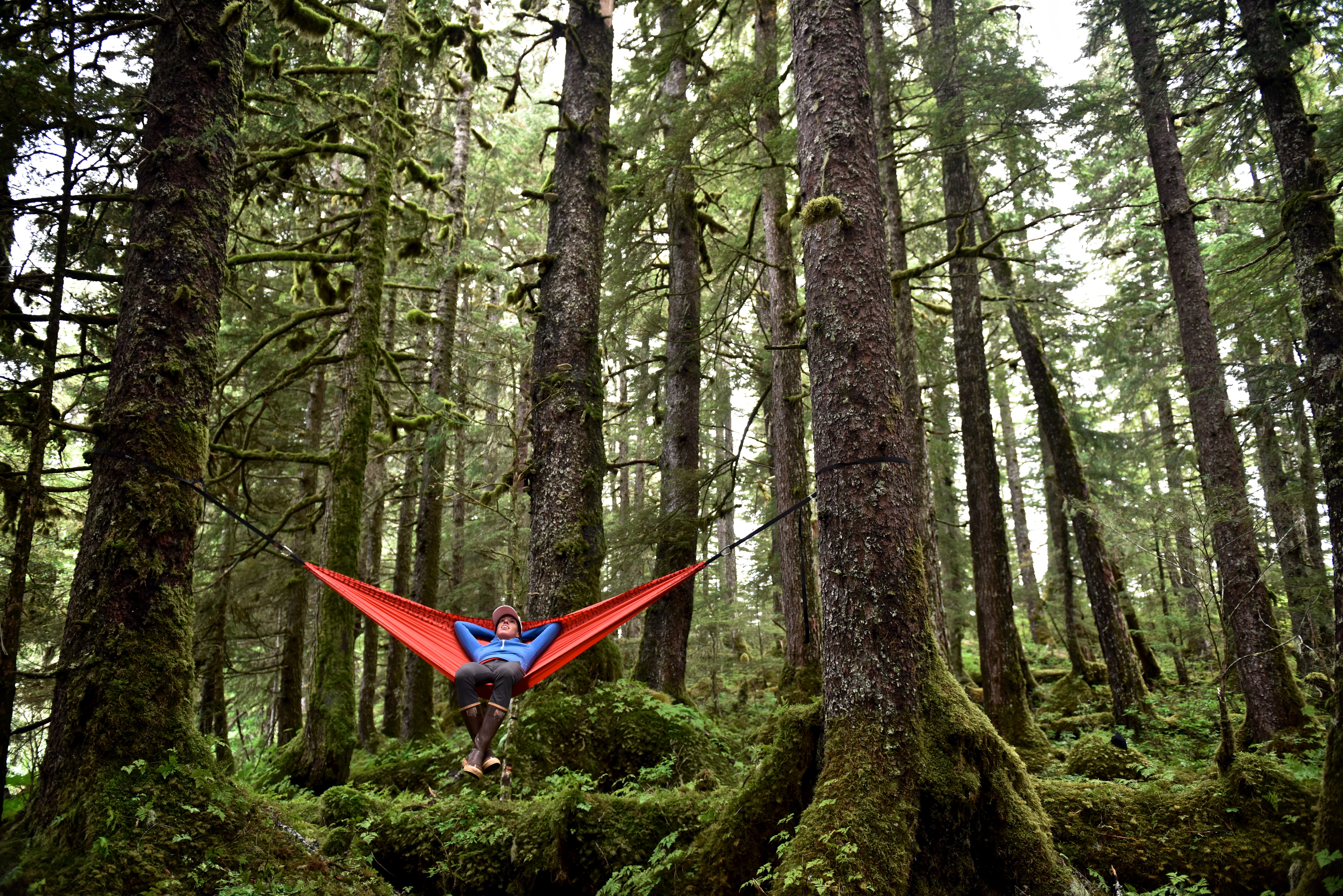 Kayak Across Alaska's Prince William Sound