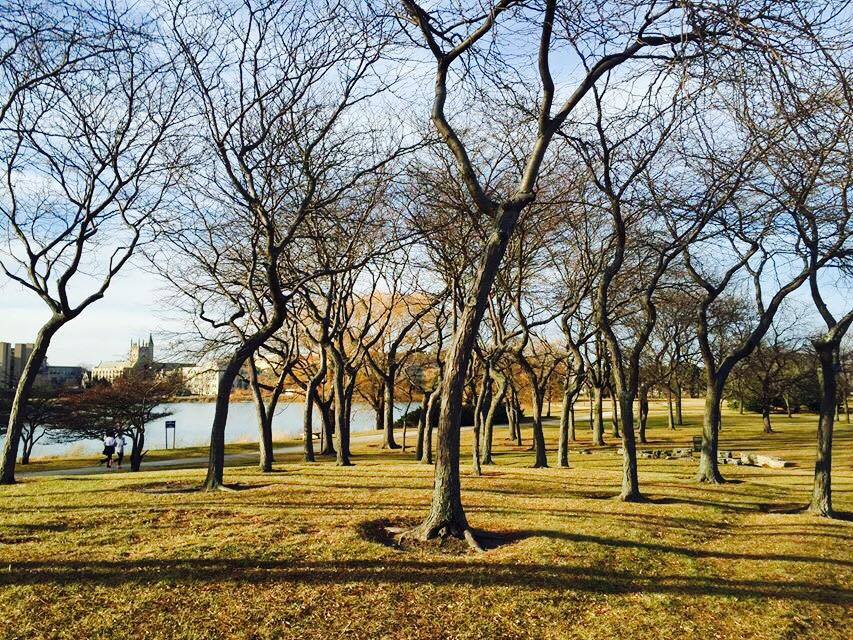 Run Chicago’s Lakefront Trail