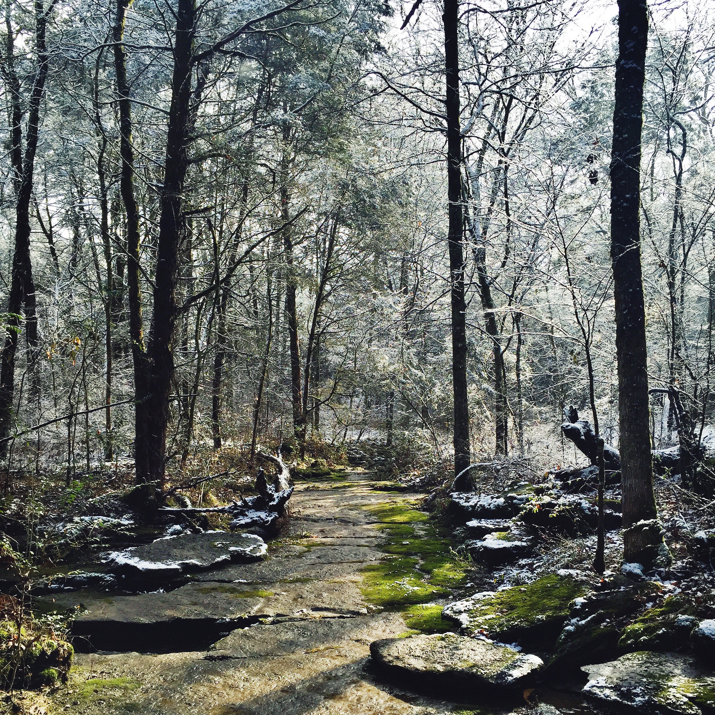 Hike the Hidden Springs Trail, Lebanon, Tennessee