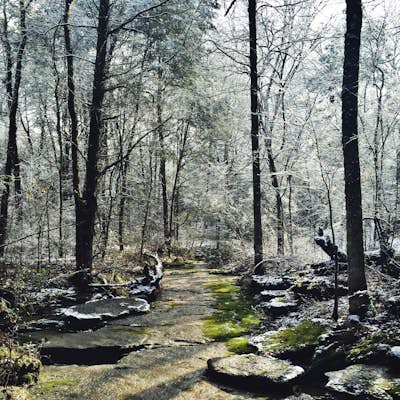 Hike the Hidden Springs Trail