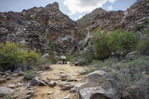 Hike to Waterfall Canyon