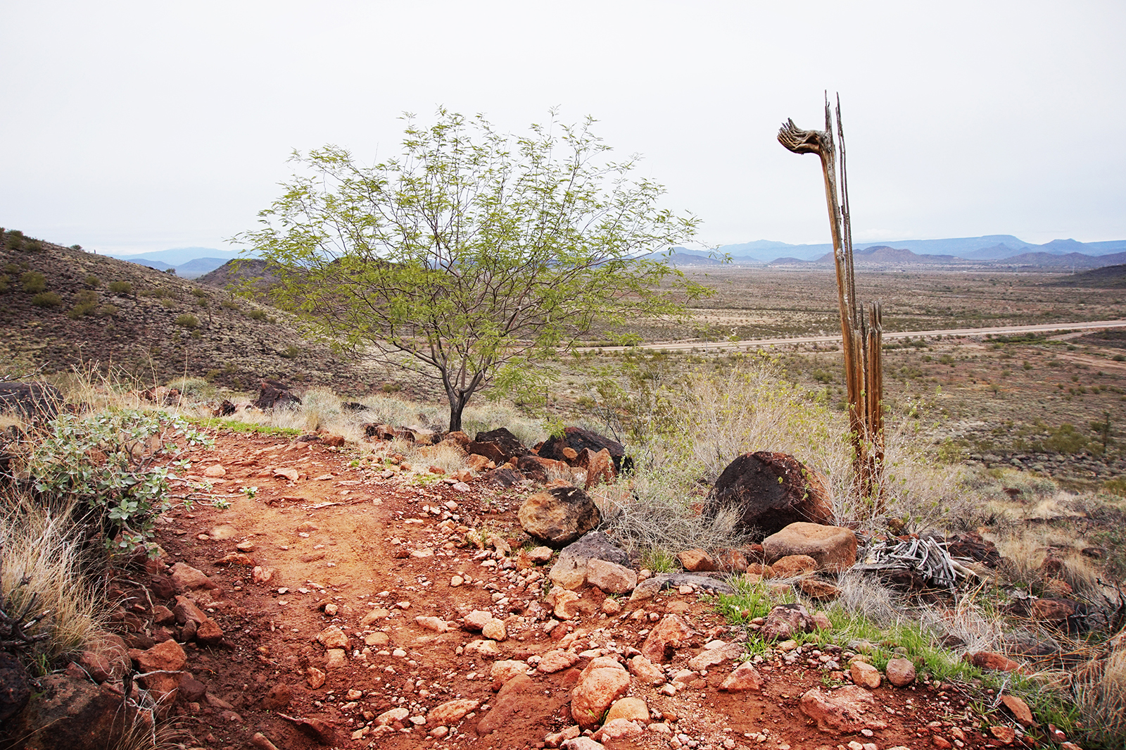 Deem Hills Loop