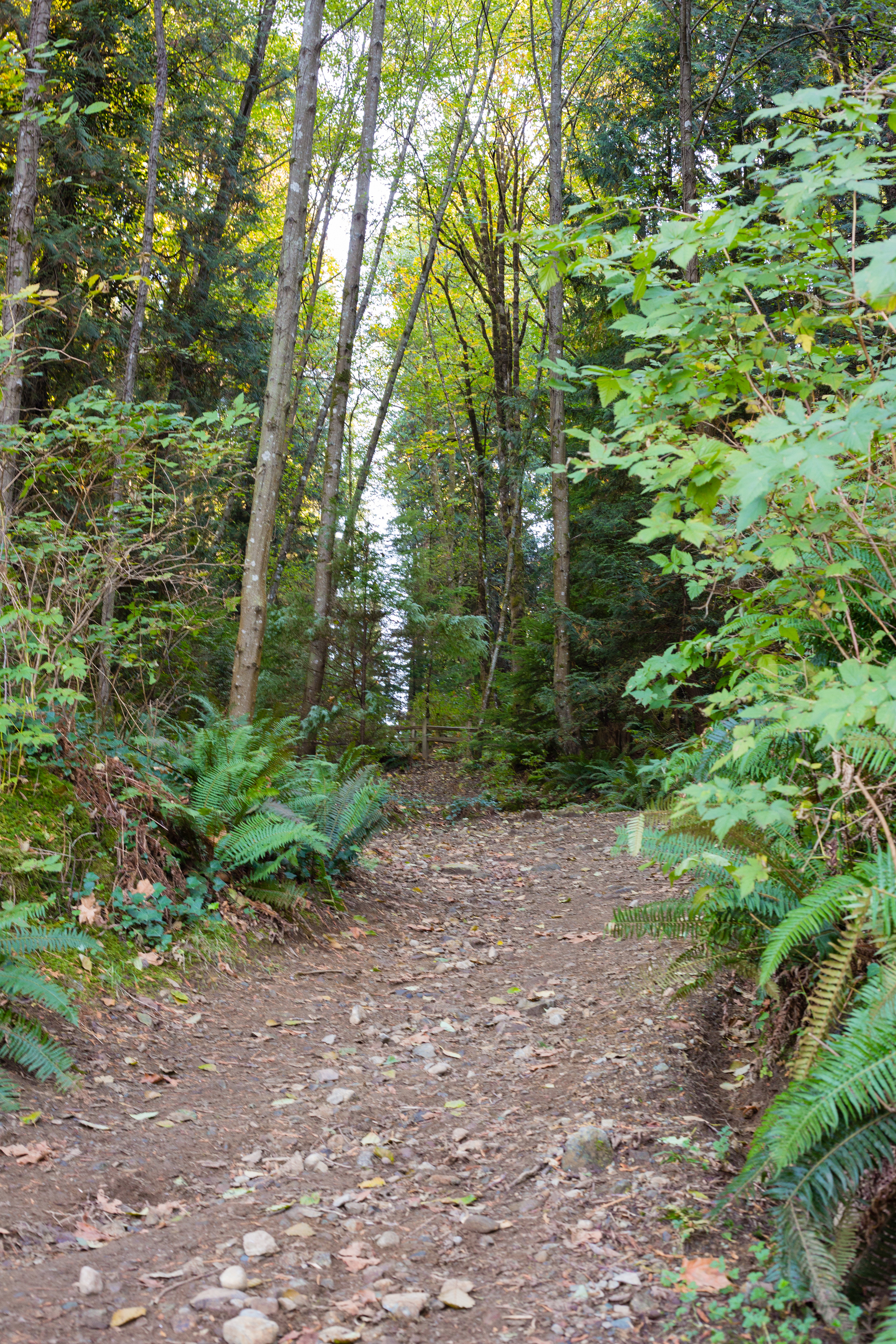 Hike to Jug Island