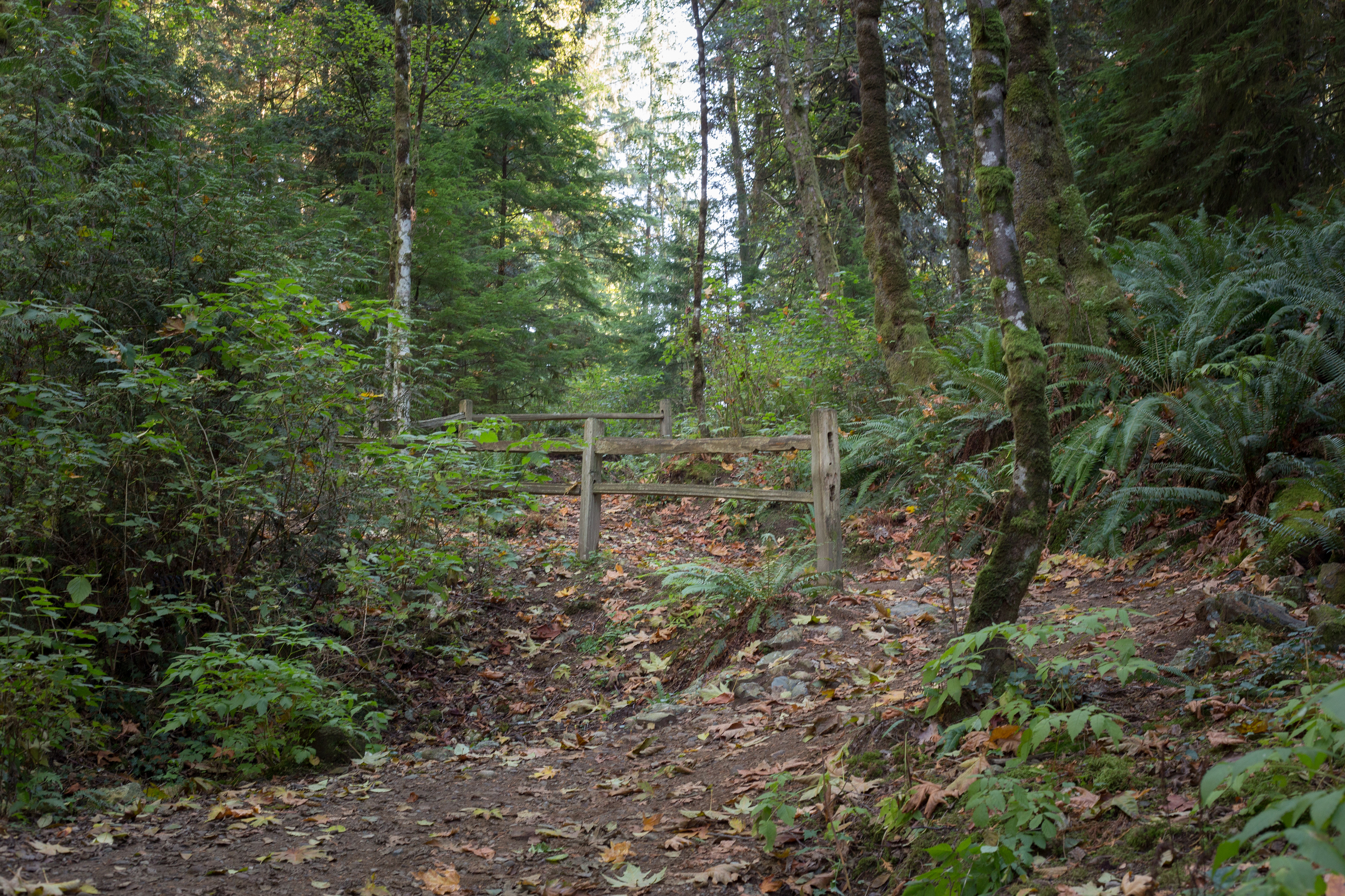 Hike to Jug Island