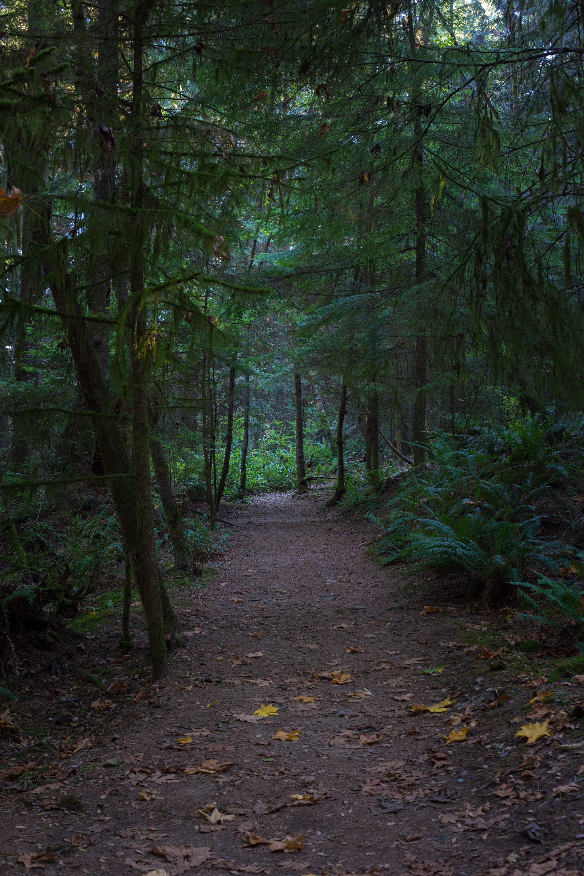 Hike to Jug Island