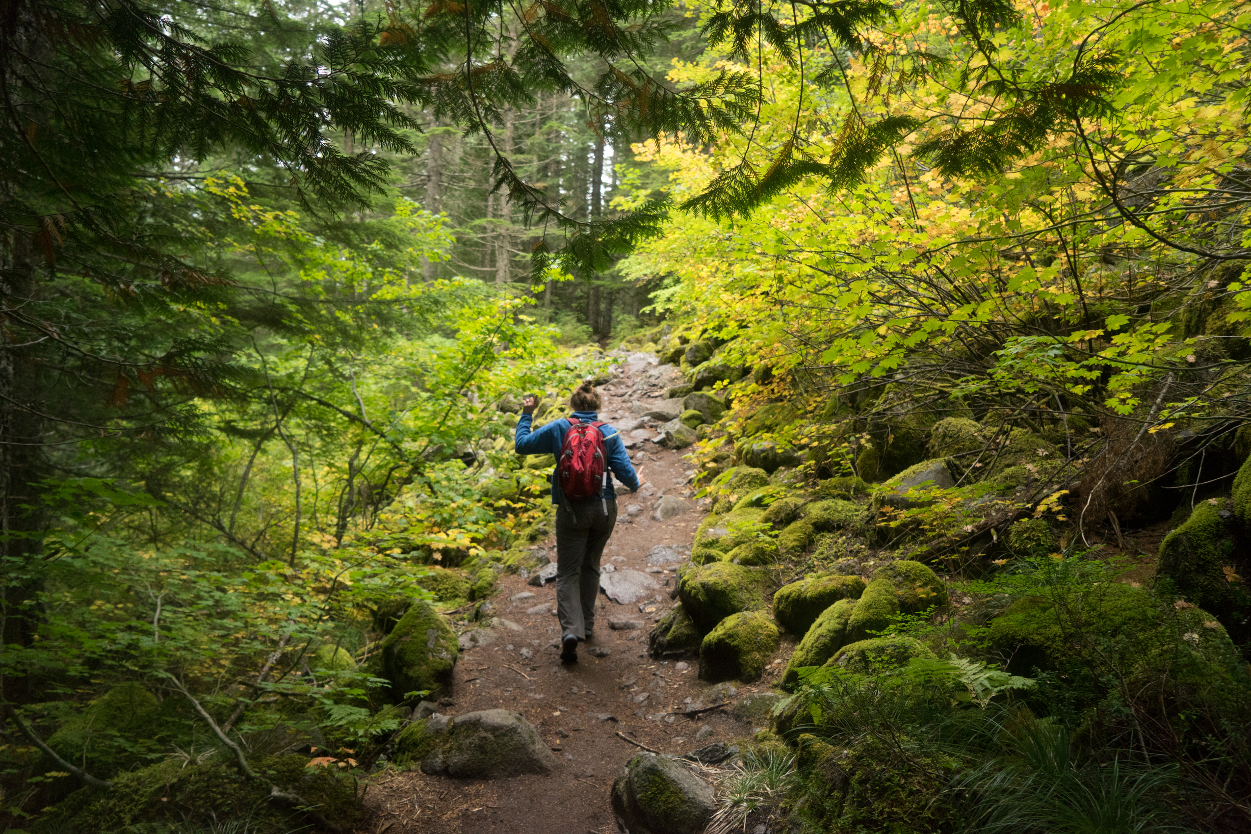 Talapus Lake Trail