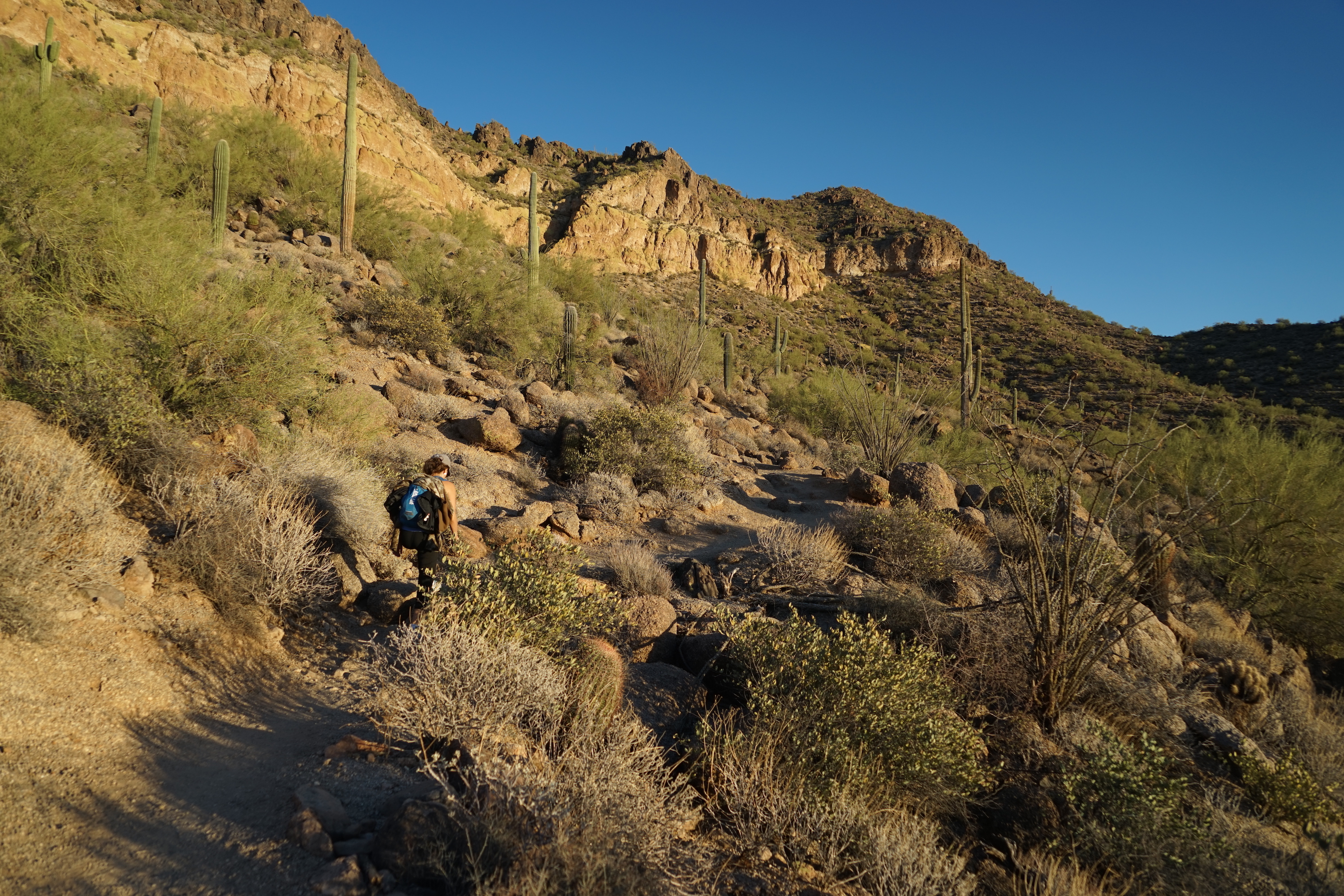 Hike the Wind Cave Trail