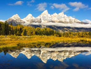 Trail Run at Schwabacher Landing