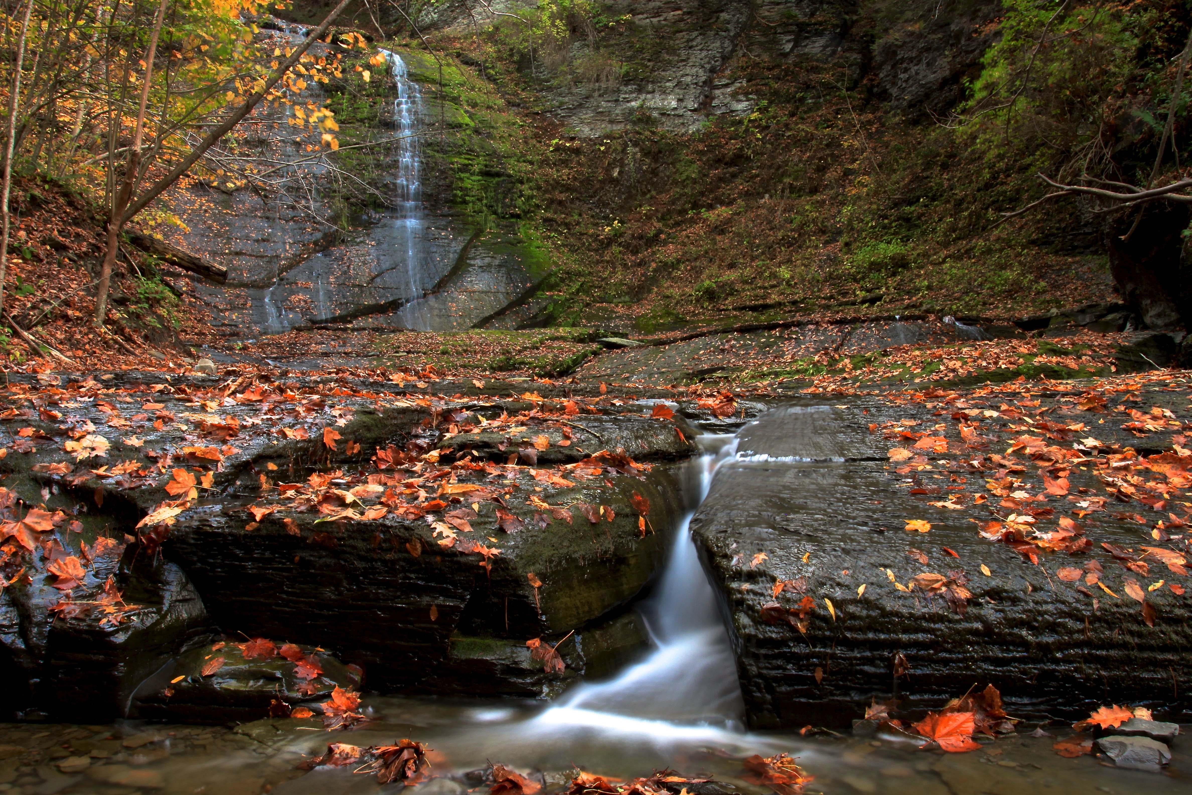 Hike Sweedler Preserve at Lick Brook
