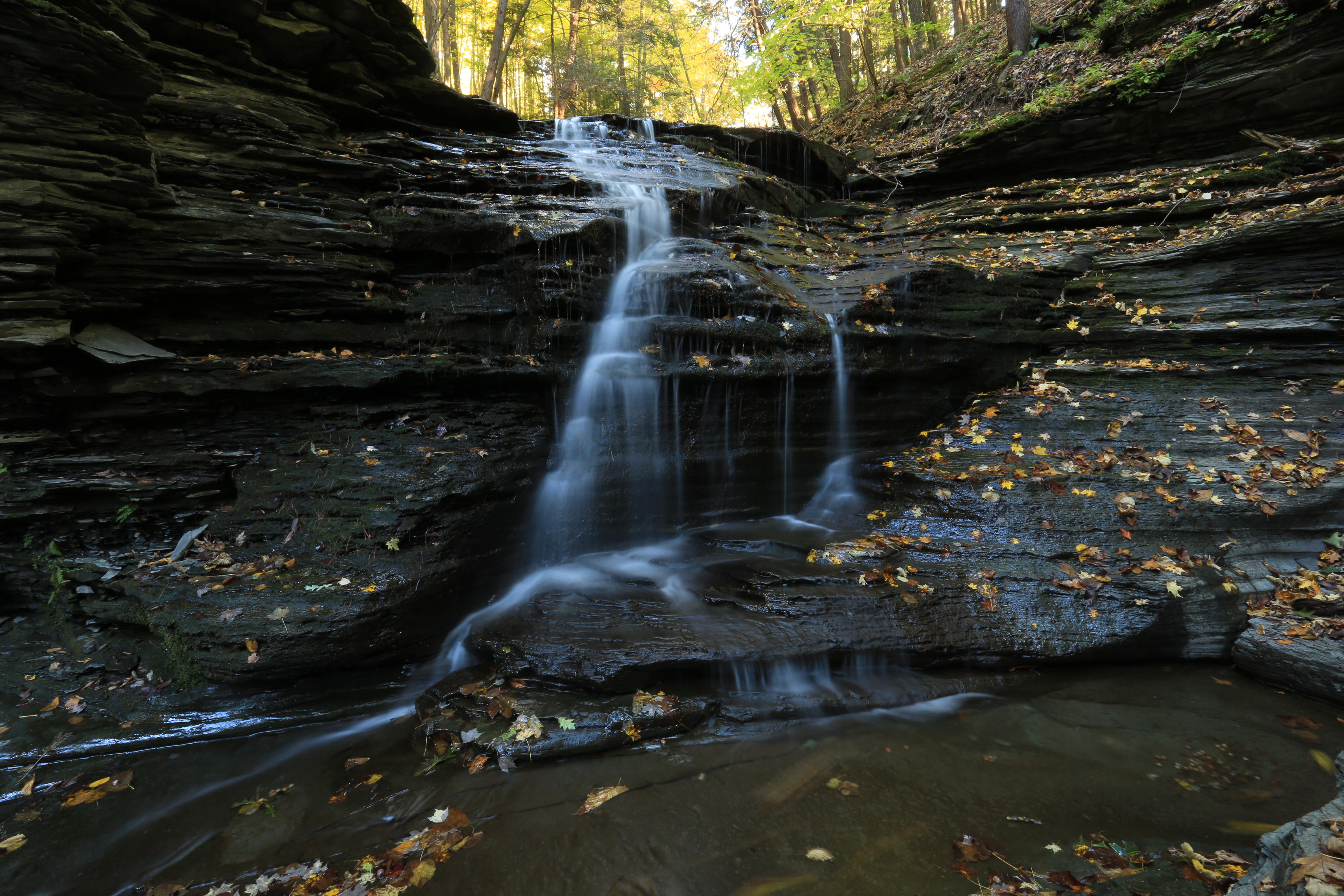 Hike Sweedler Preserve at Lick Brook