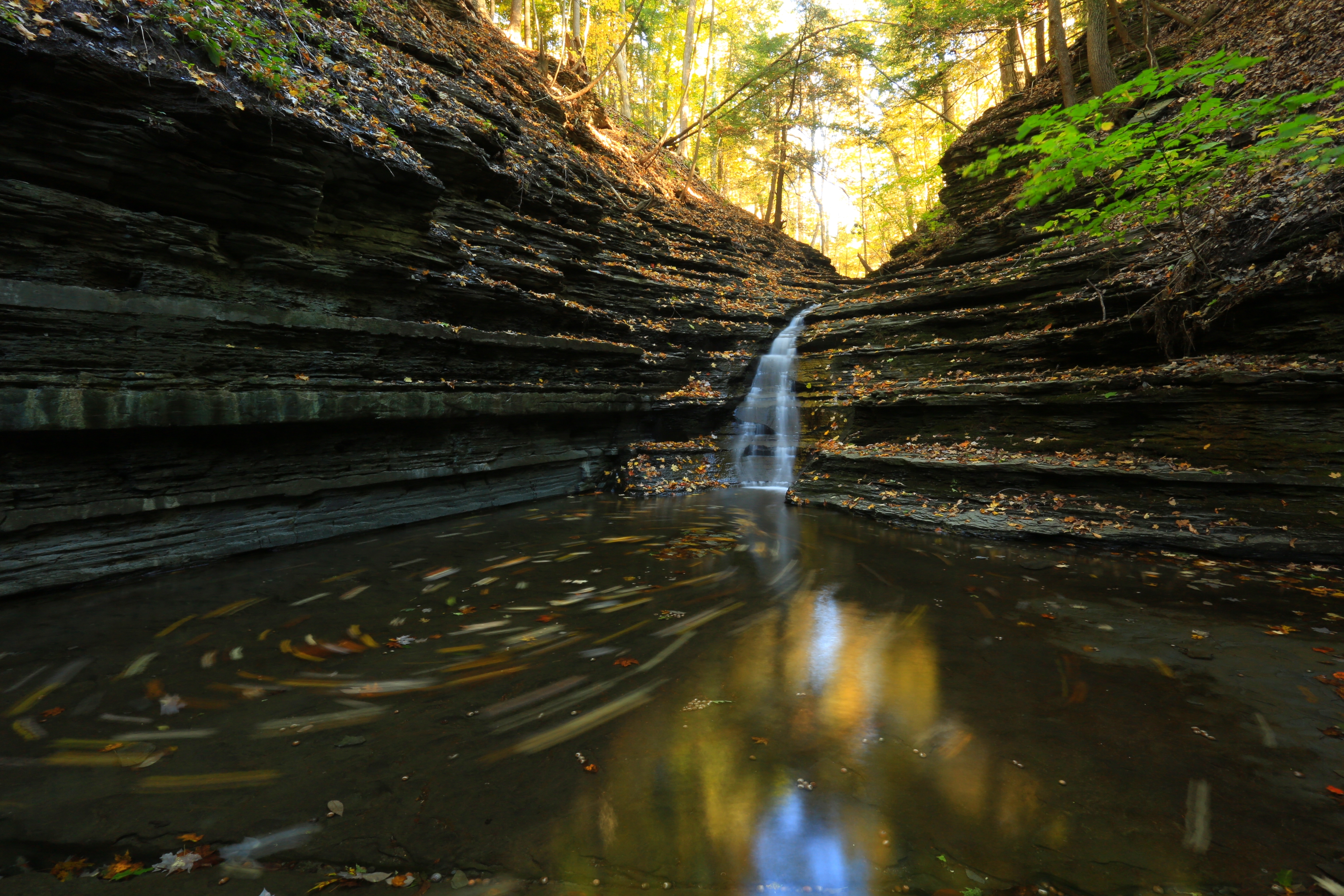 Hike Sweedler Preserve at Lick Brook