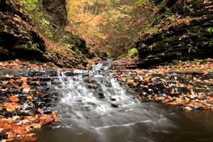 Hike Sweedler Preserve at Lick Brook