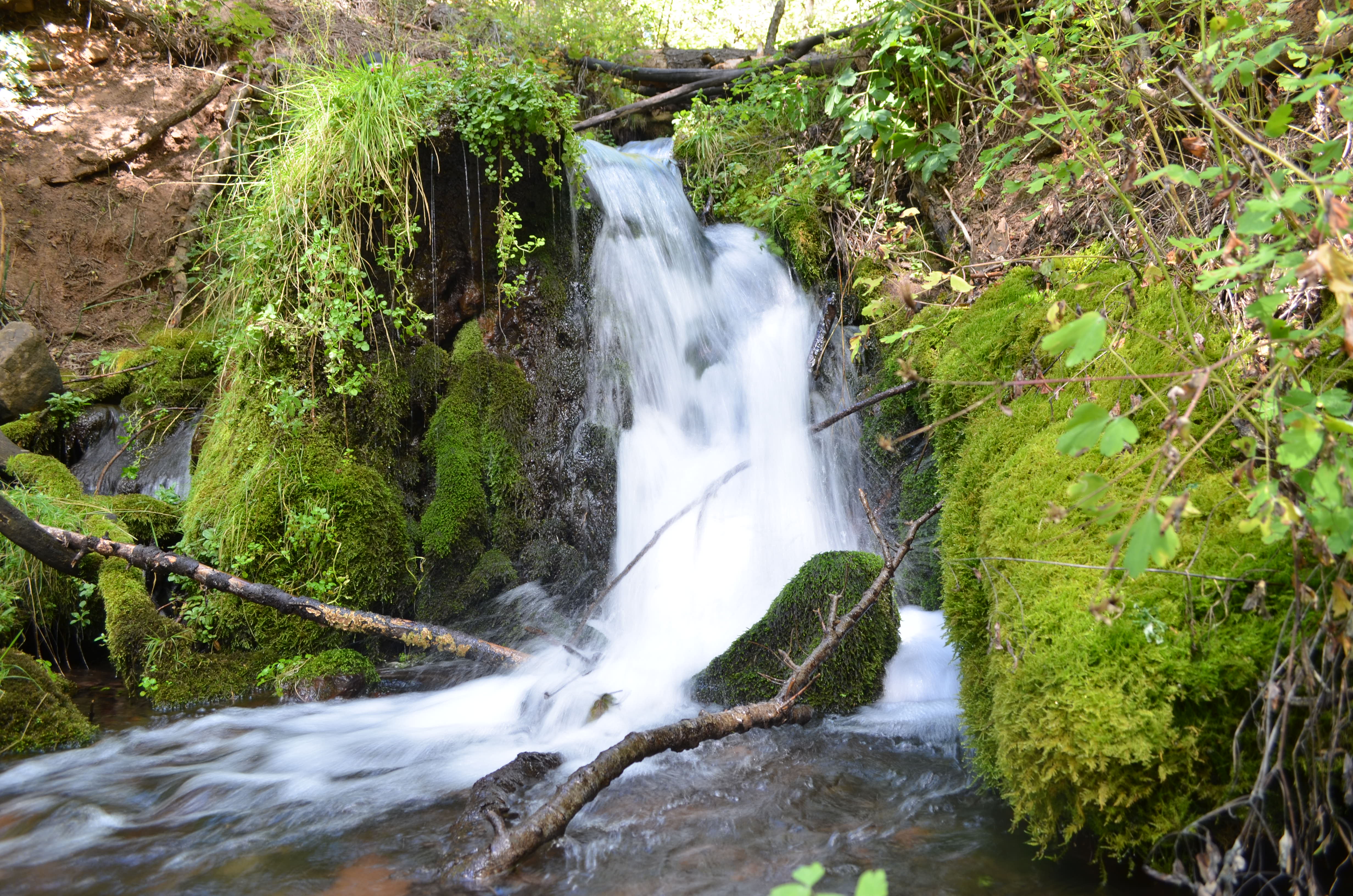 Horton Springs Loop