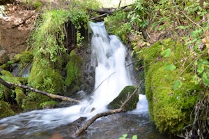 Horton Springs Loop