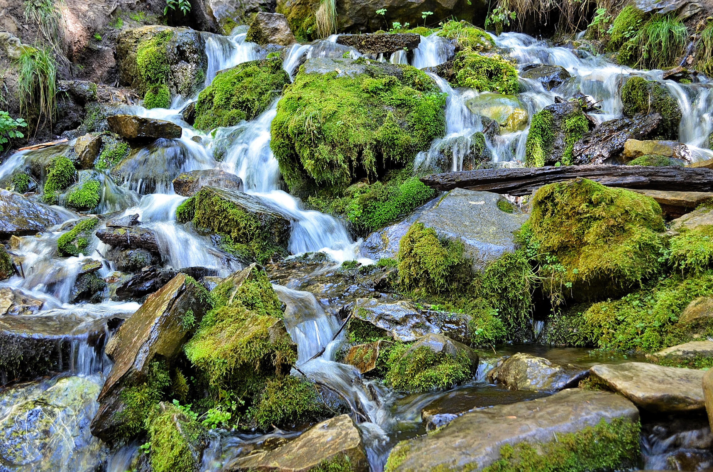 Horton Springs Loop