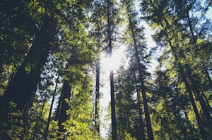 Hike the Ocean View Summit Loop