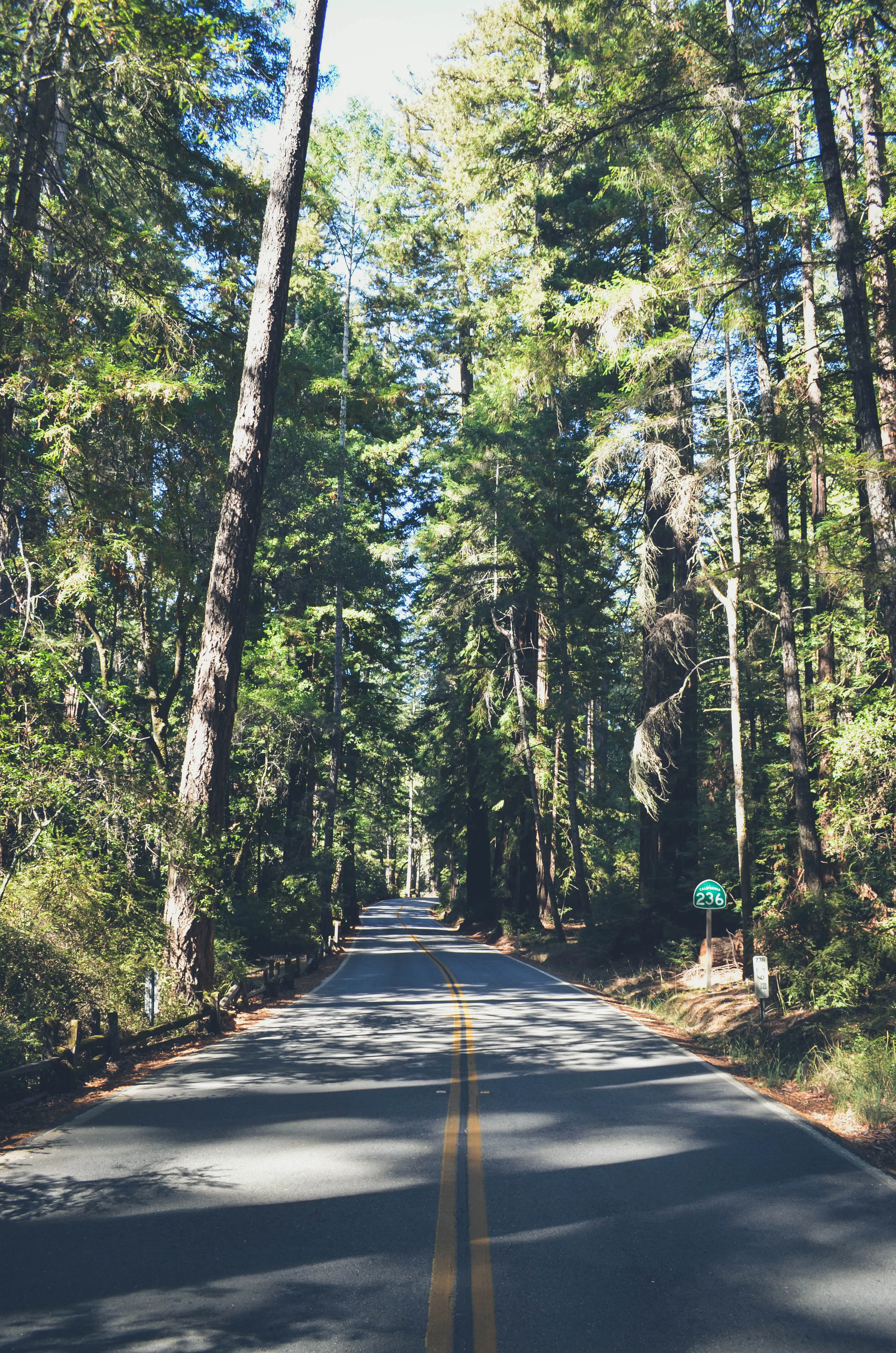 Hike the Ocean View Summit Loop
