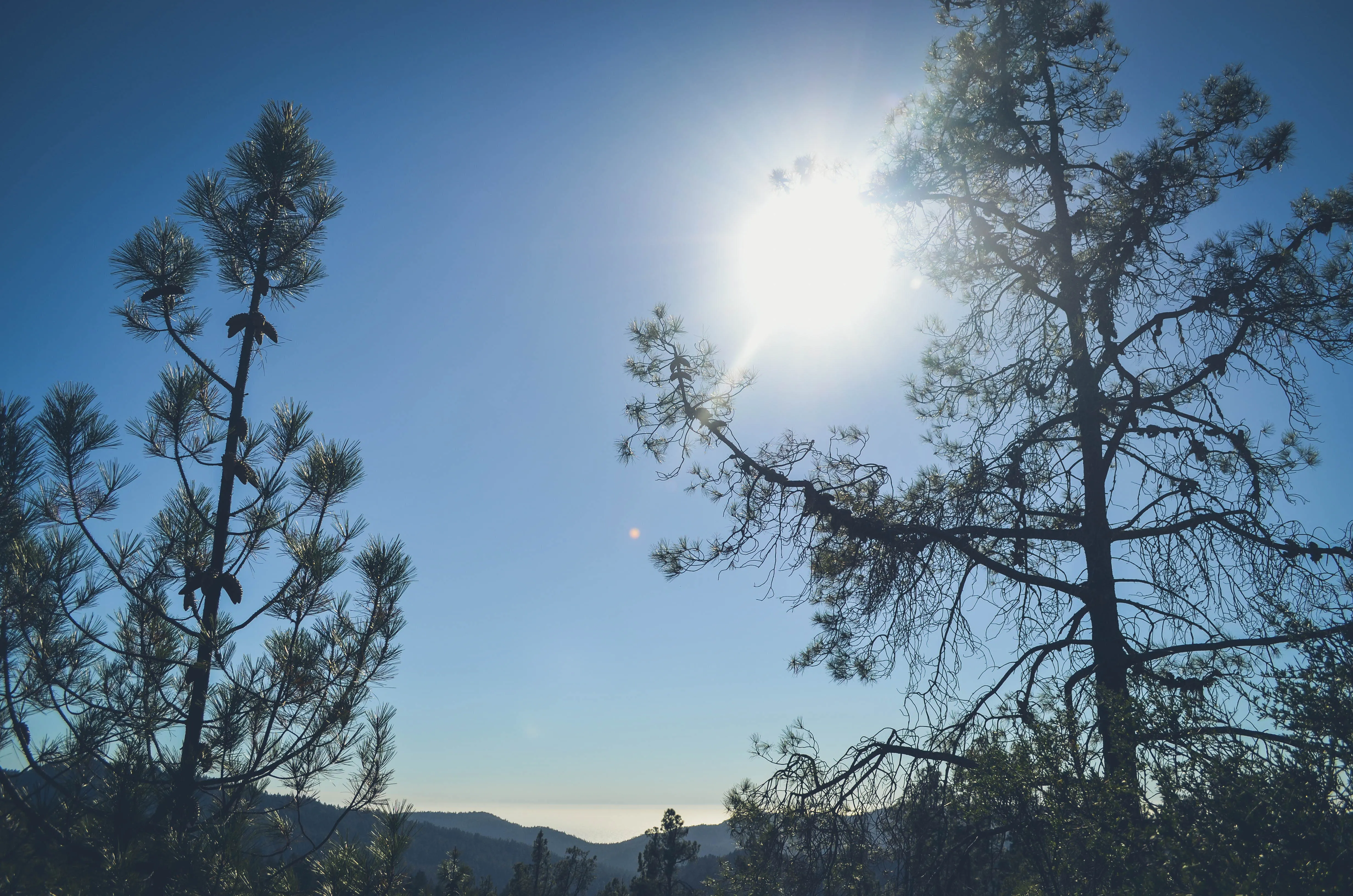 Hike the Ocean View Summit Loop