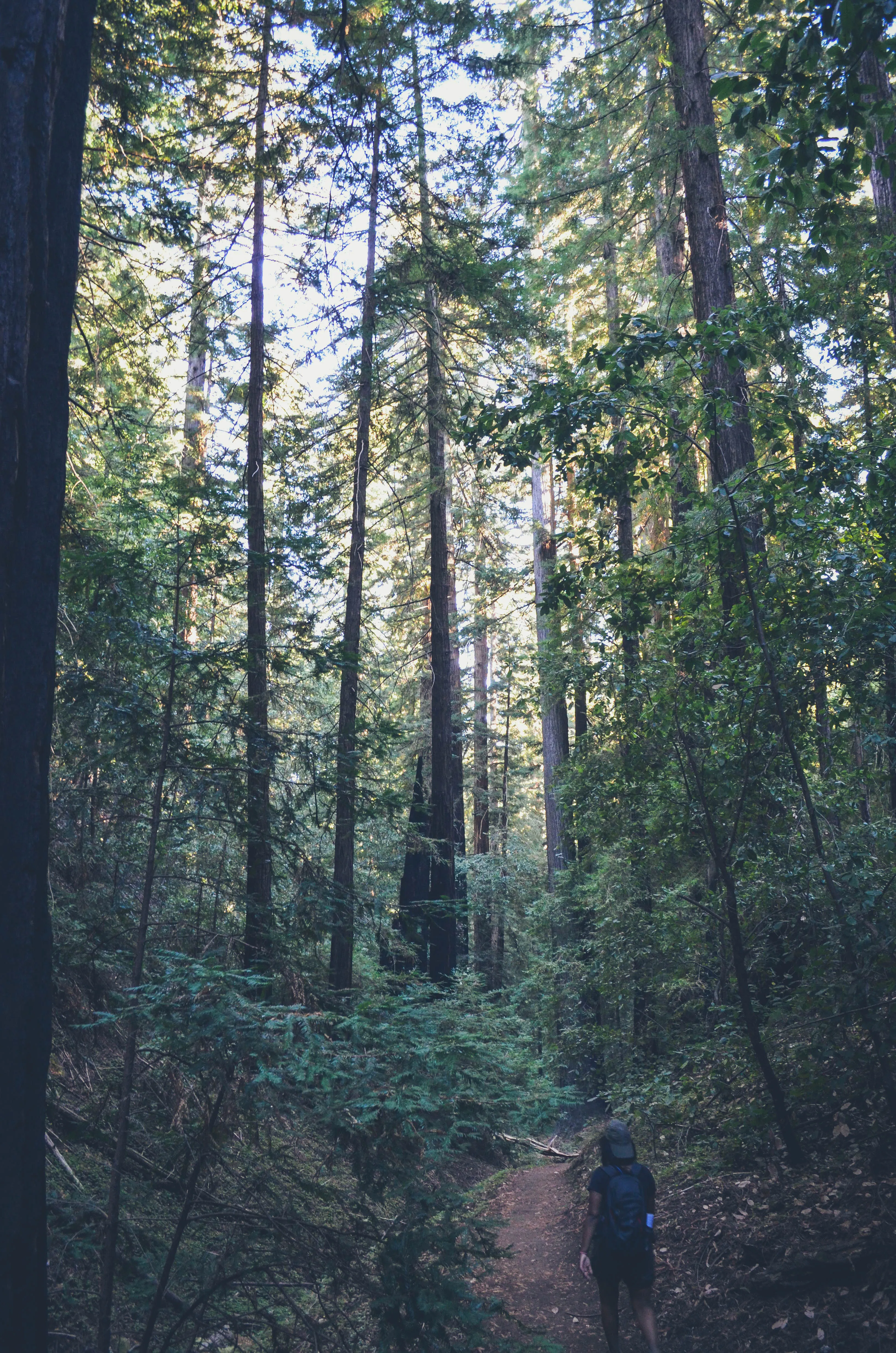 Hike the Ocean View Summit Loop