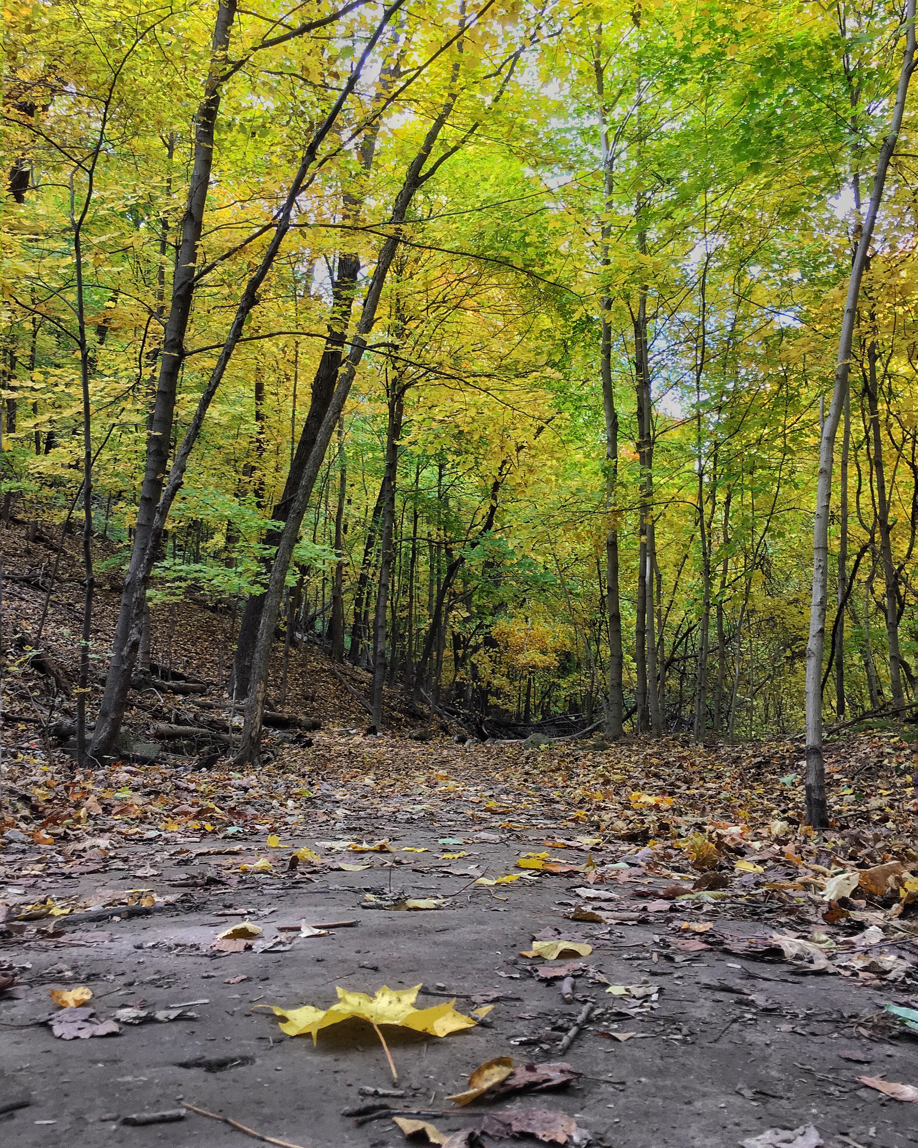 Hike Barn Bluff