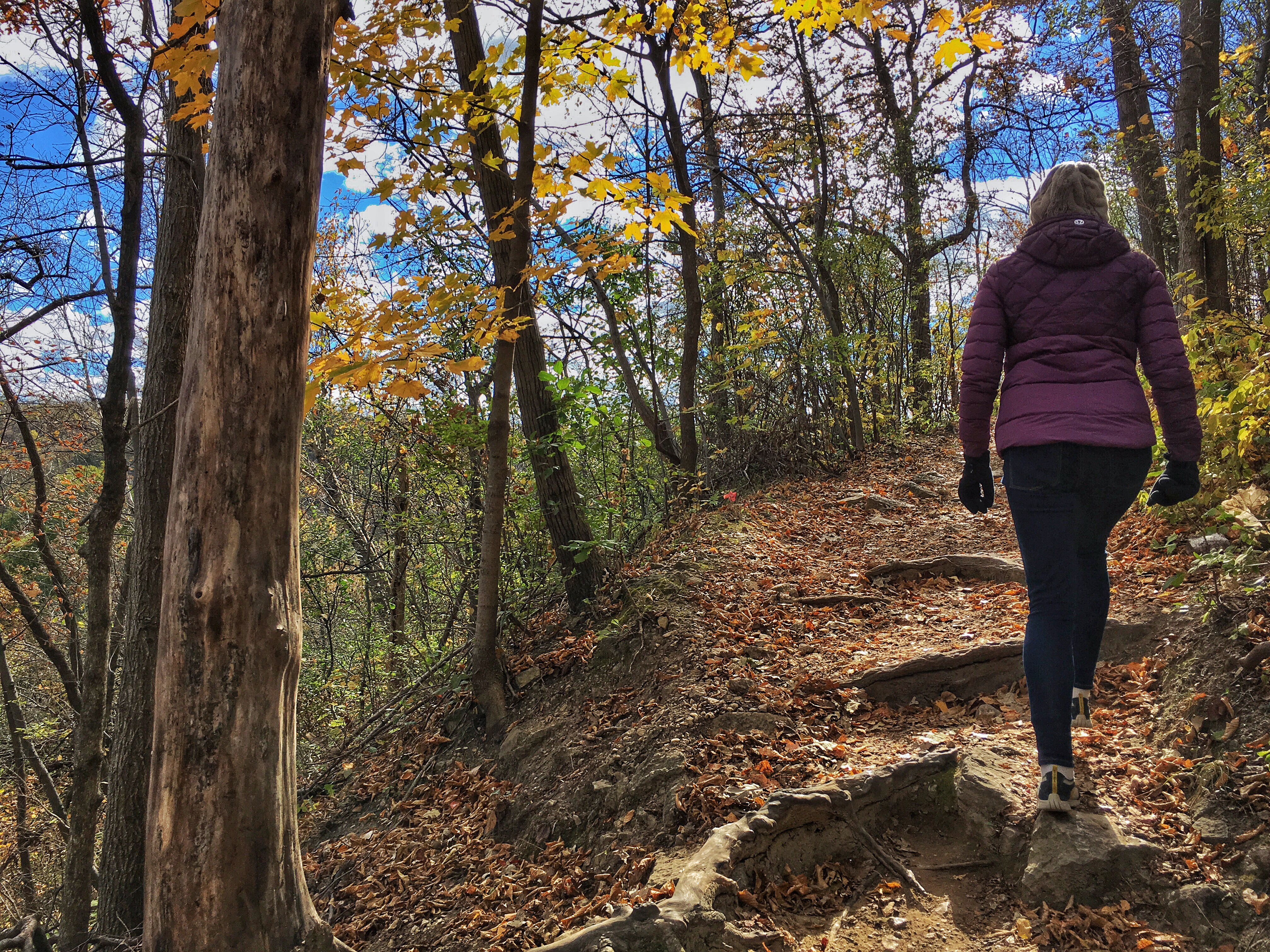 Hike Barn Bluff