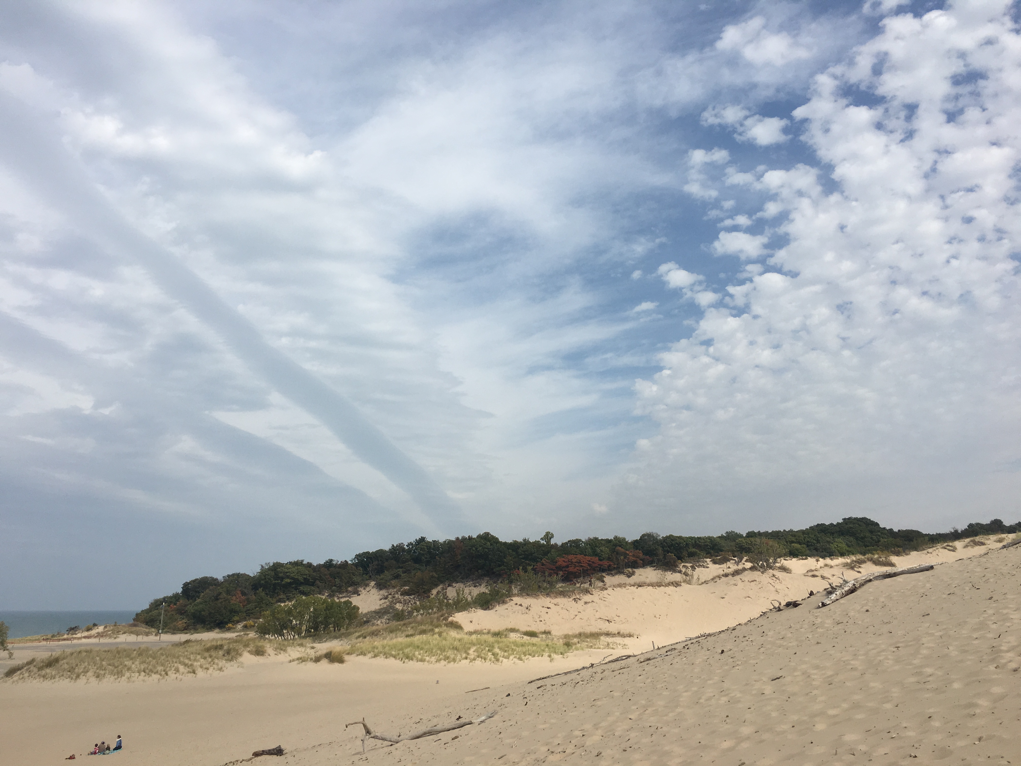 Camp at Warren Dunes State Park