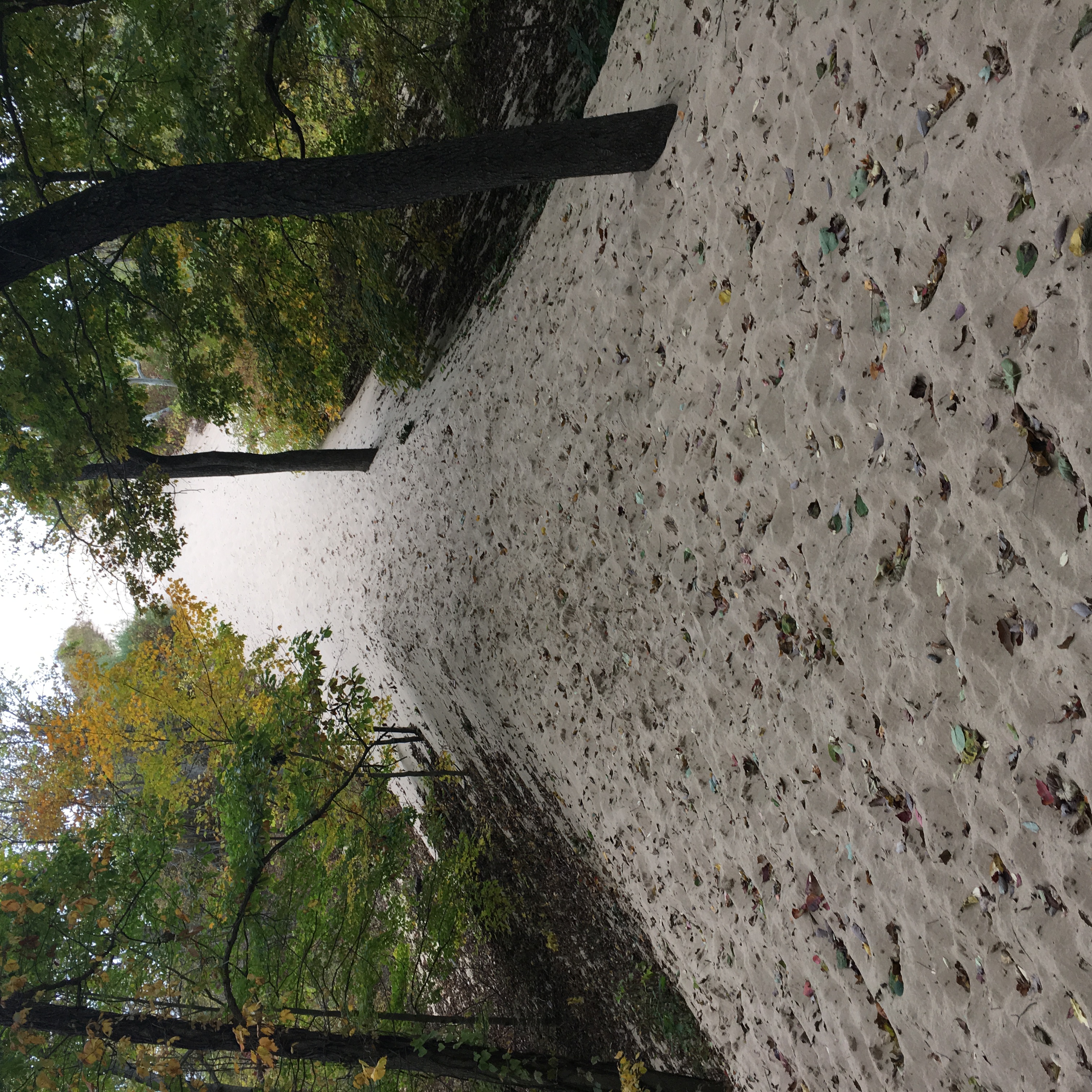 Camp at Warren Dunes State Park