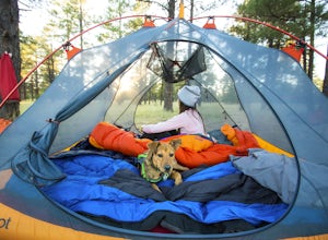 5 Tips For Camping With Your Puppy