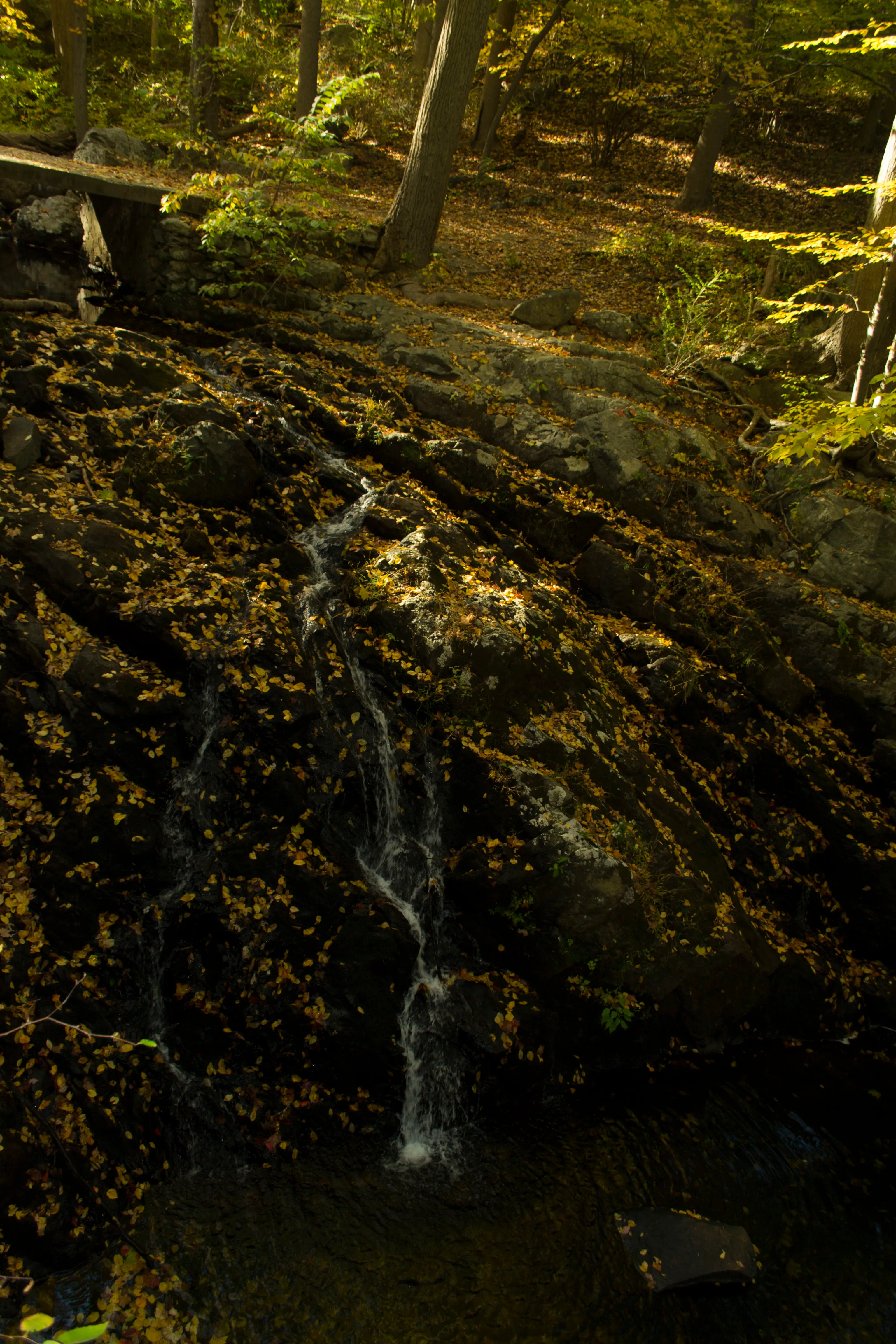 Hike Bald Mountain, Bear Mountain State Park