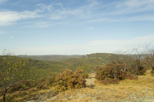 Hike Bald Mountain, Bear Mountain State Park