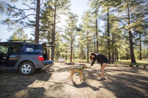 Camp at Marshall Lake