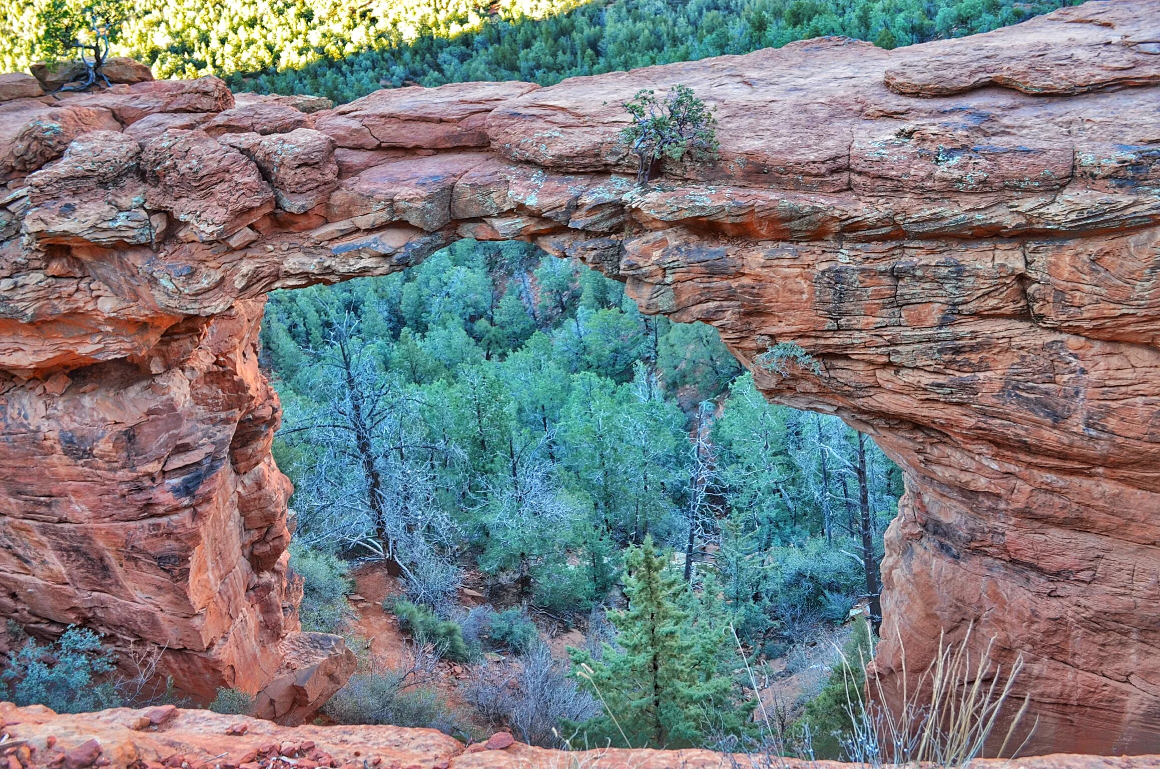 Devil's Bridge Trail