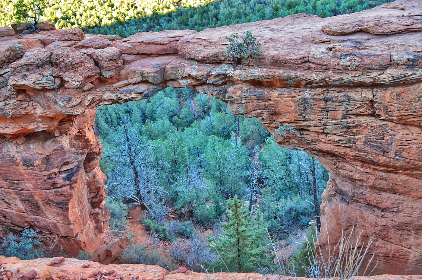 Photo of Hike the Devil's Bridge