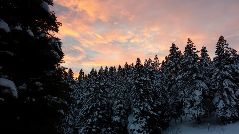 Ski or Snowshoe to Stargaze Yurt