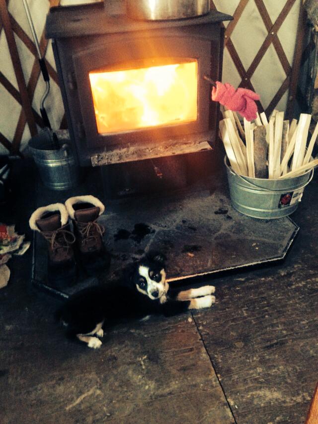 Ski or Snowshoe to Stargaze Yurt