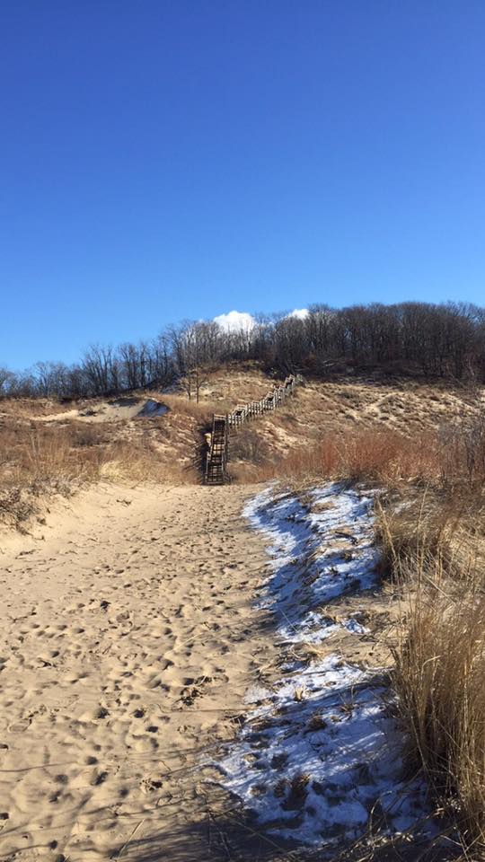 Dune Succession Trail