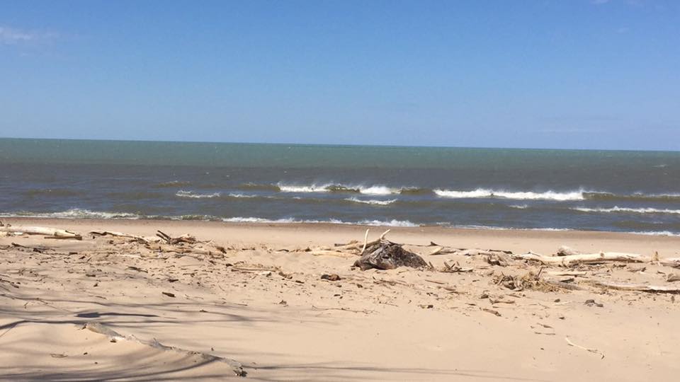 Dune Succession Trail