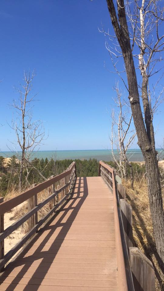 Dune Succession Trail