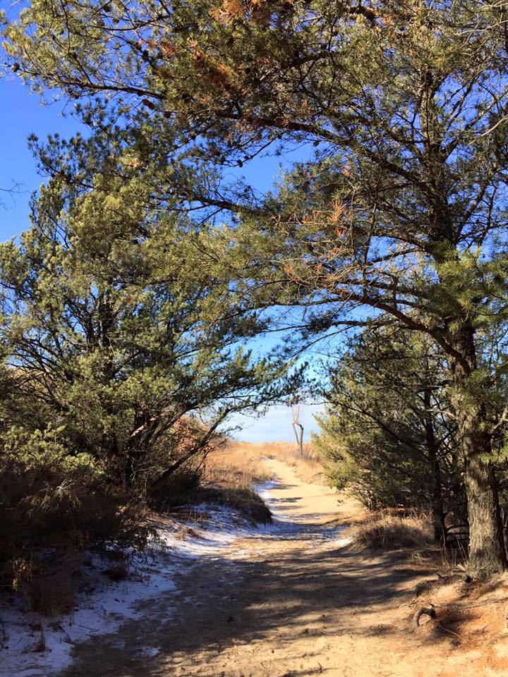 Dune Succession Trail